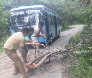 Trees fell on the Talmehda Jol road, the driver and operator of the Himachal Road Transport Corporation removed them from the road